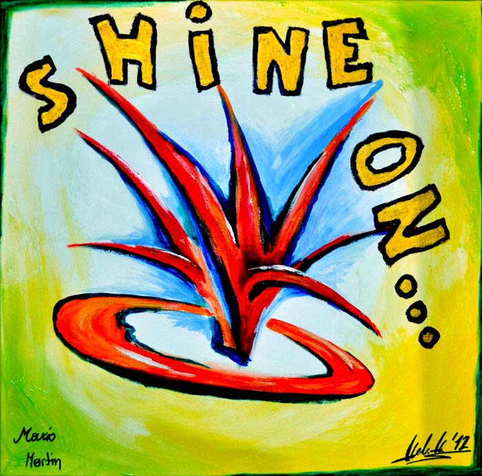Shine On ...                                                                             Ein Geburtsgeschenk fr Karin                                               Eine Gemeinschaftsproduktion mit Martin und Mario