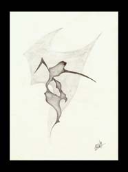Figur I