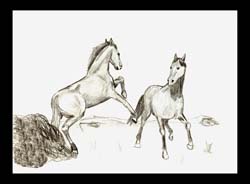 Pferde (Entwurf)