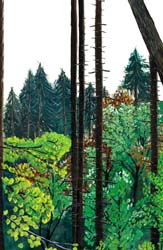 Wald bei Breitenhilm (Farbskizze)